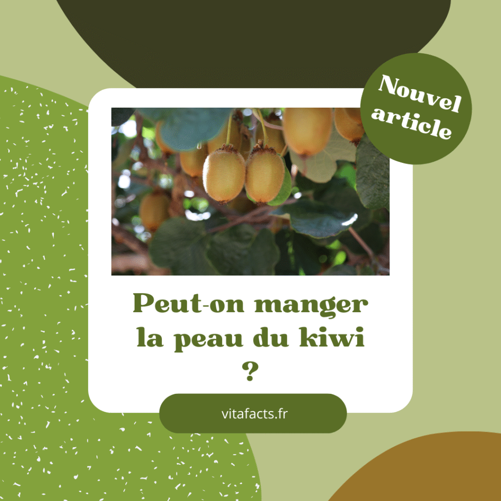 Peut-on manger la peau du kiwi ? manger la peau du kiwi bienfaits peau du kiwi