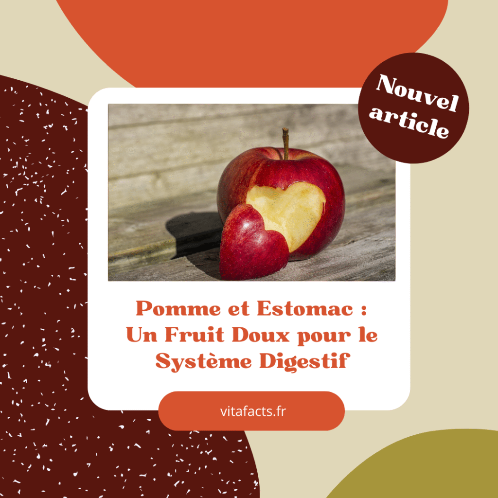 pomme et estomac