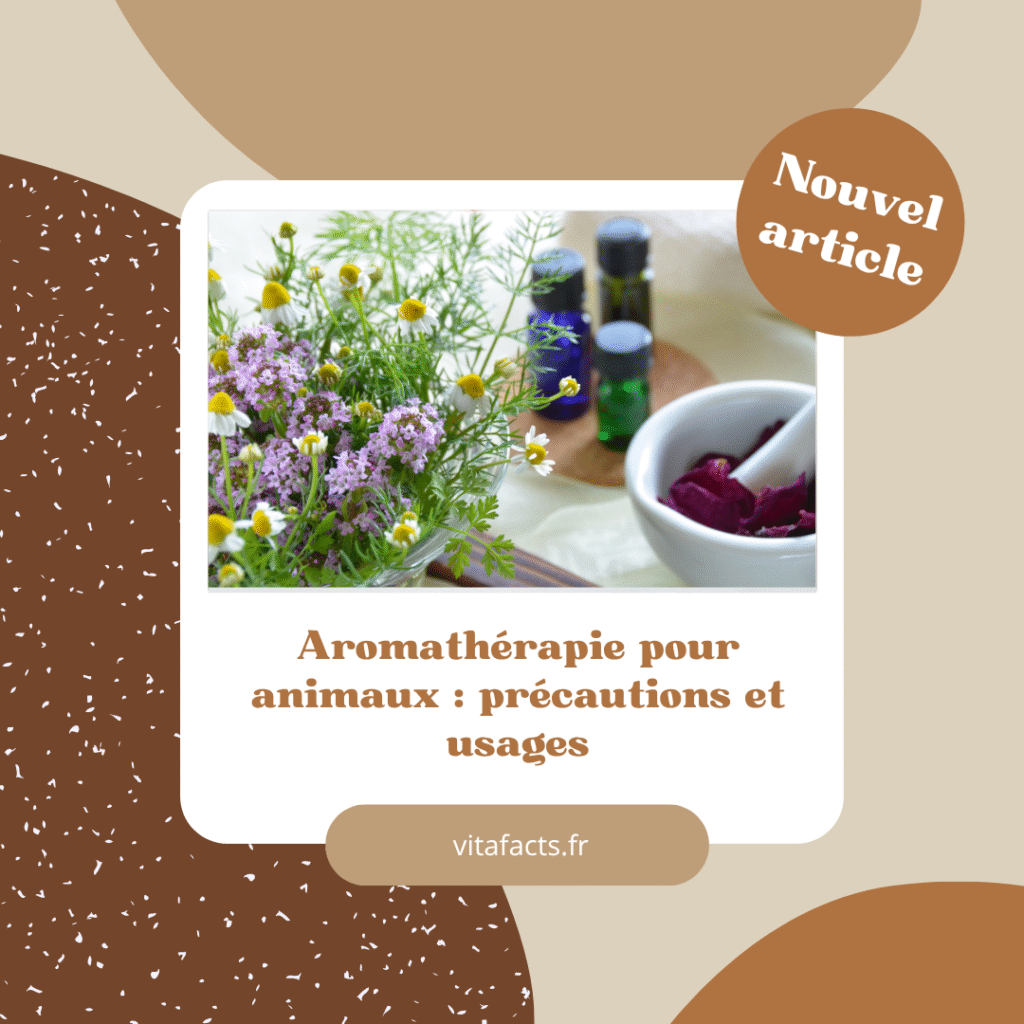 aromathérapie et animaux