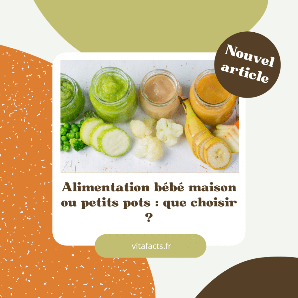 alimentation maison ou petit pot bébé
