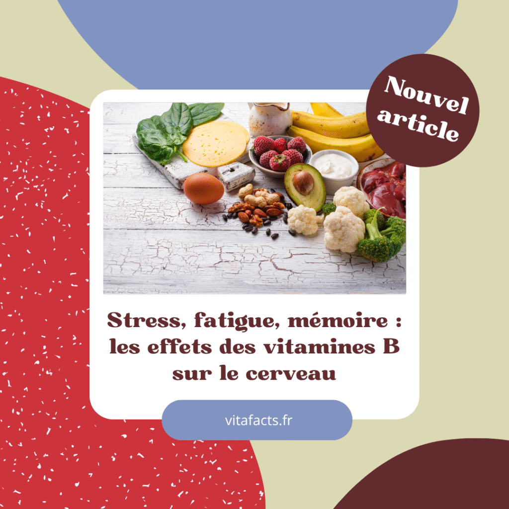vitamine b et cerveau