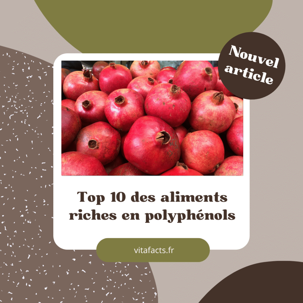 aliments riches en polyphénols