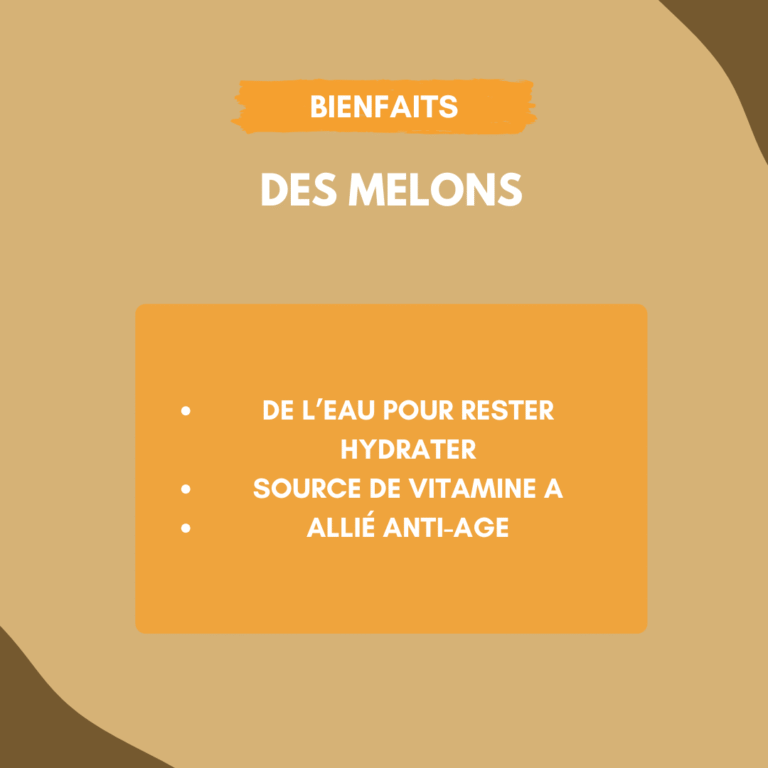 bénéfices du melon