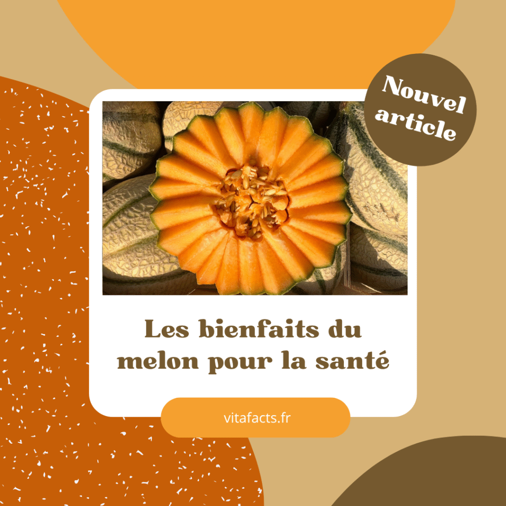 bienfaits du melon