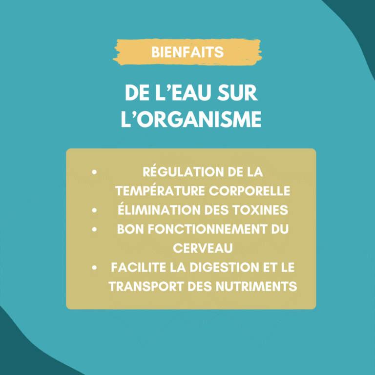 bienfaits de l'eau sur l'organisme