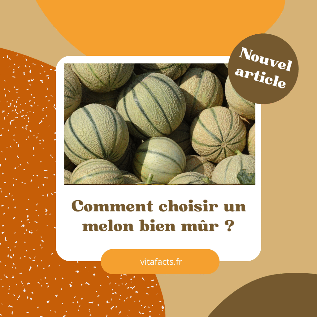 comment choisir du melon