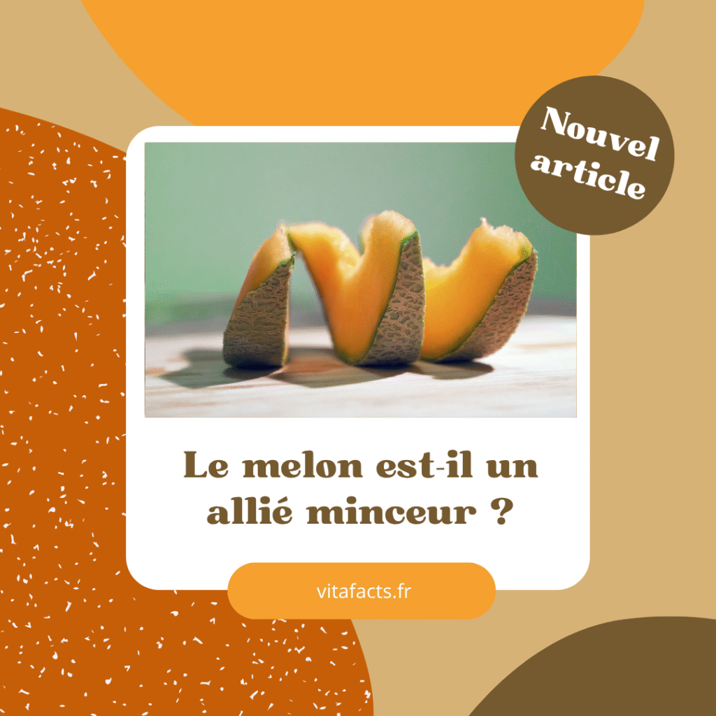 melon et perte de poids