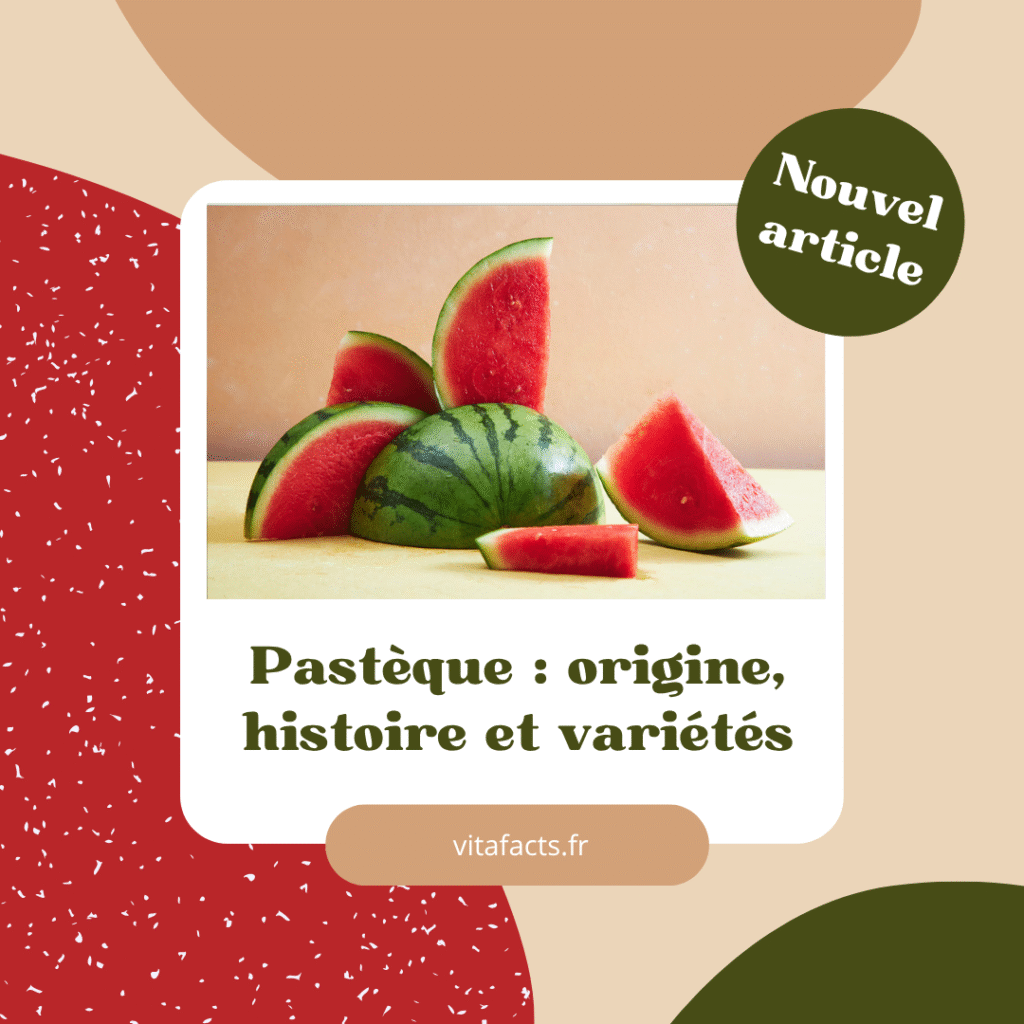 origine pastèque