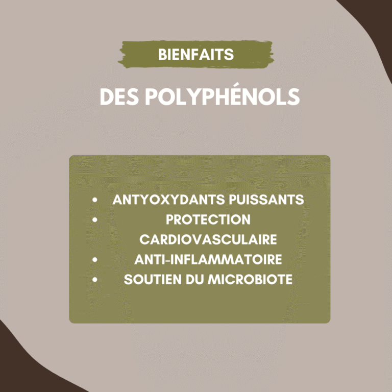 bienfaits polyphénols