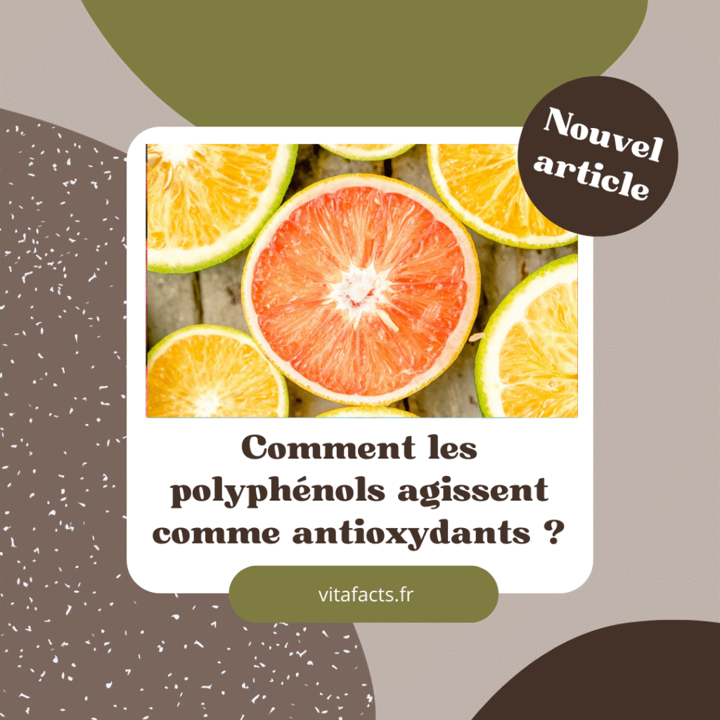 polyphénols et antioxydants