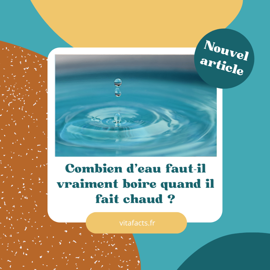 quelle quantité d'eau boire en été