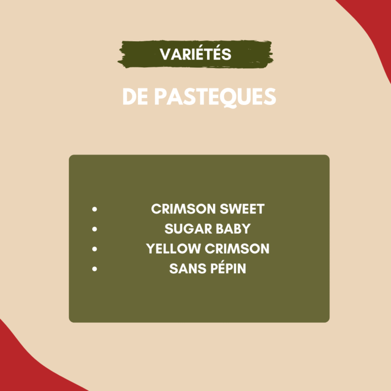 variétés de pastèques