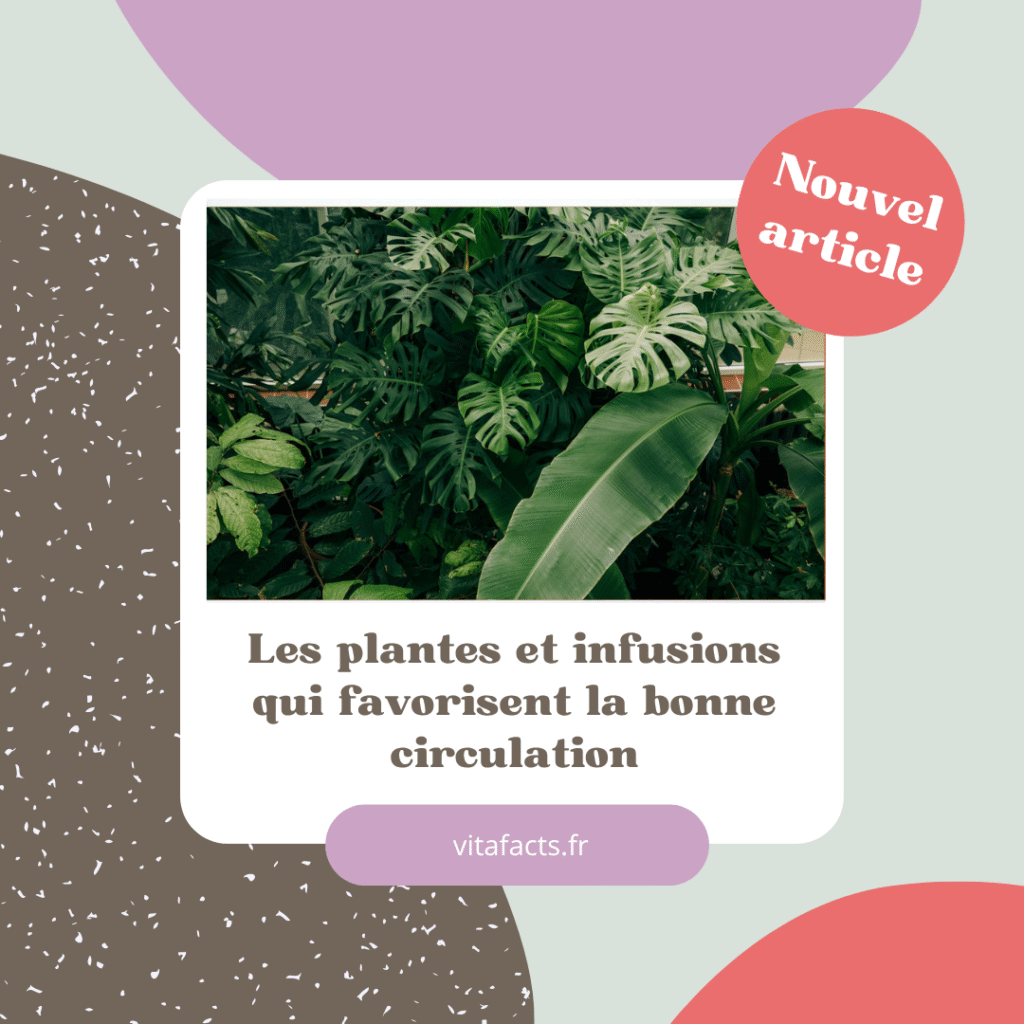 plantes et circulation sanguine