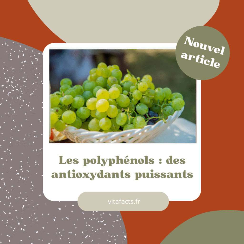 polyphénols et antioxydants