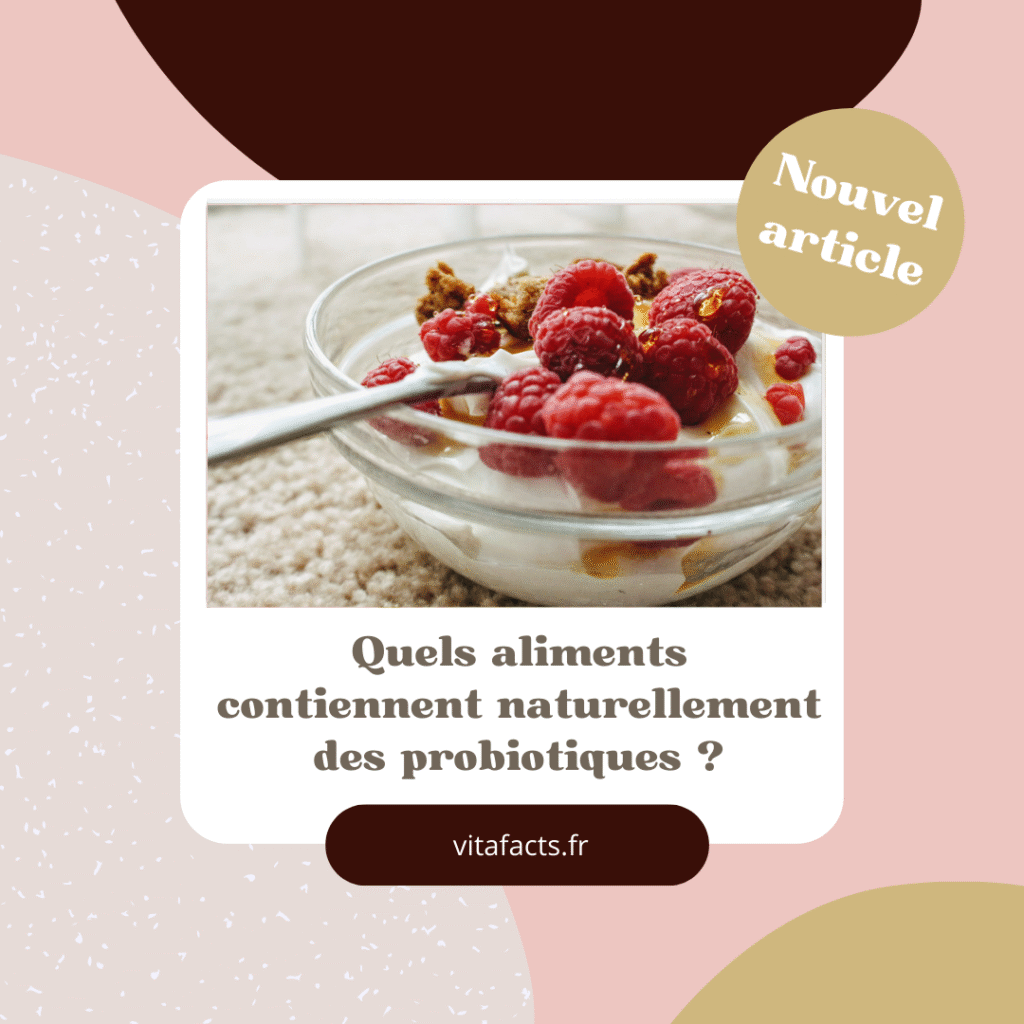 sources naturelles probiotiques