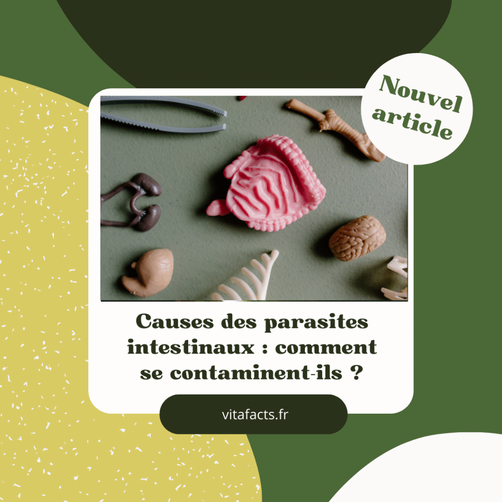 causes parasites intestinaux
