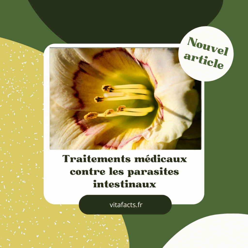 traitement parasites intestinaux